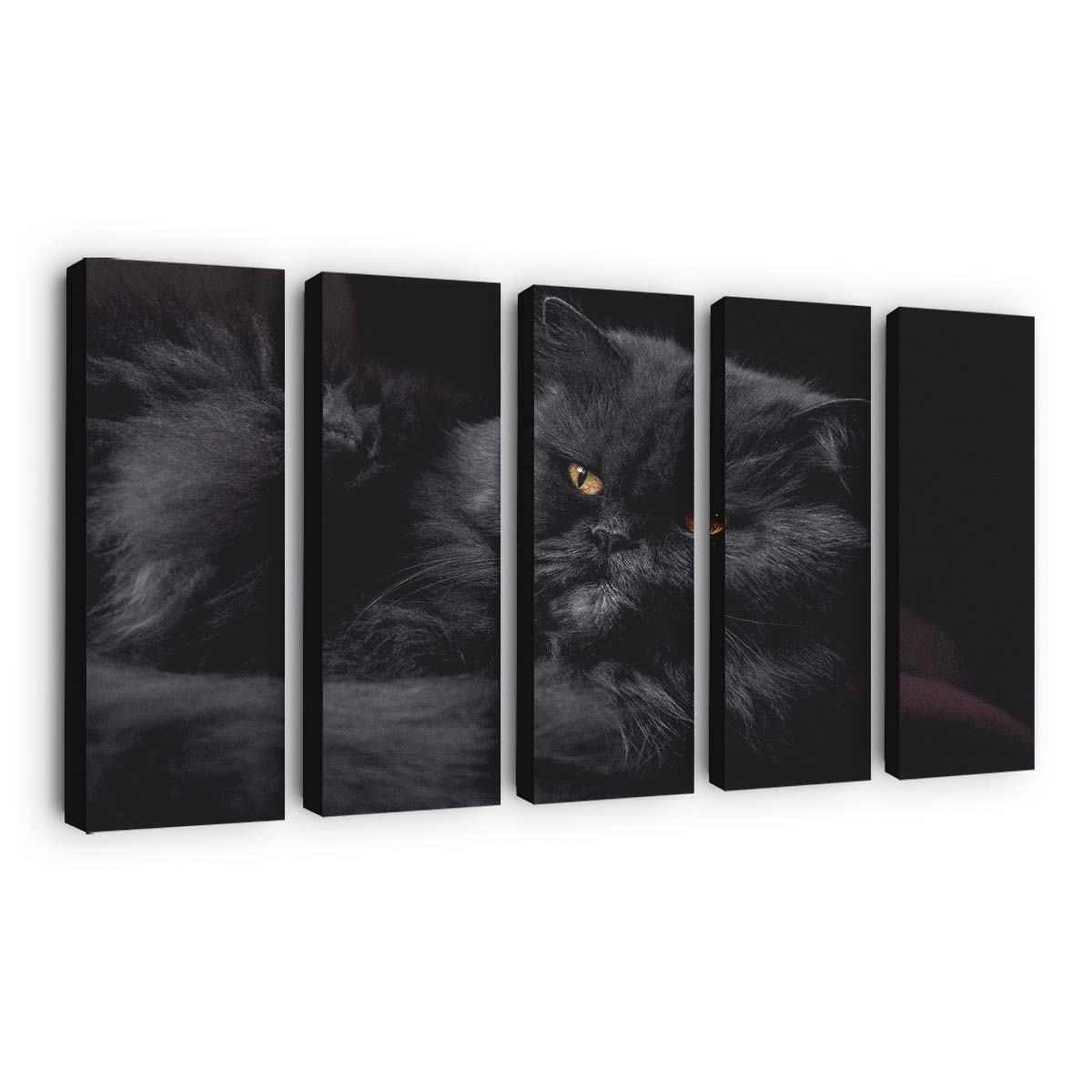 beautiful doll face persian cat fluffy black fur golden eyes wallpaper