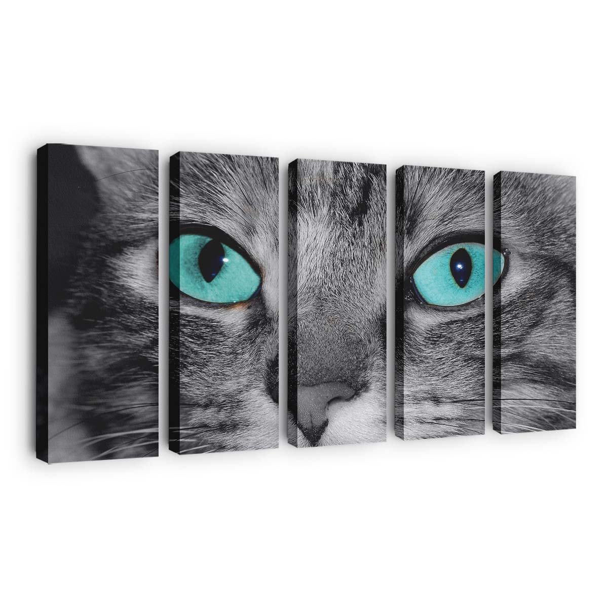 close up of a grey tabby cat face wallpaper