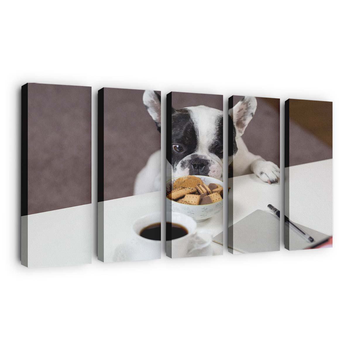 funny french bulldog trying to steal biscuits wallpaper