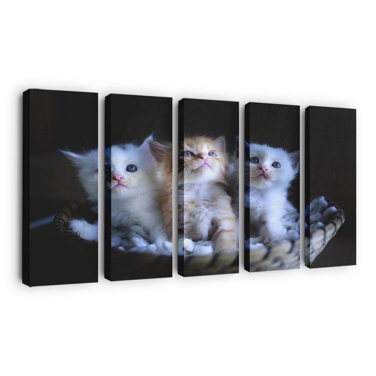 three adorable kittens in a small basket wallpaper