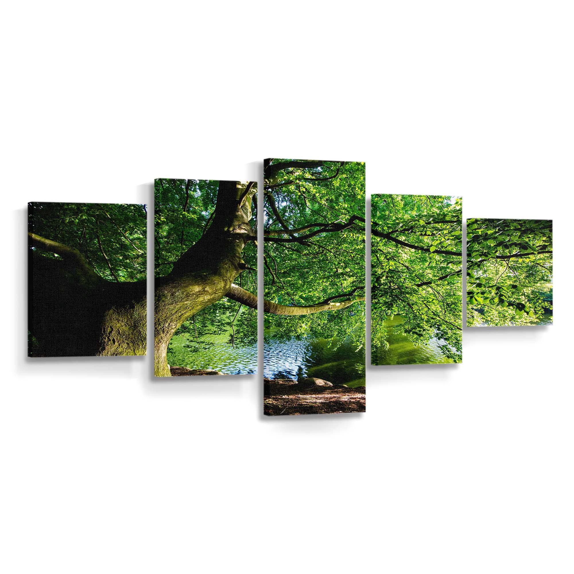 beautiful tree by the river nature photography wallpaper