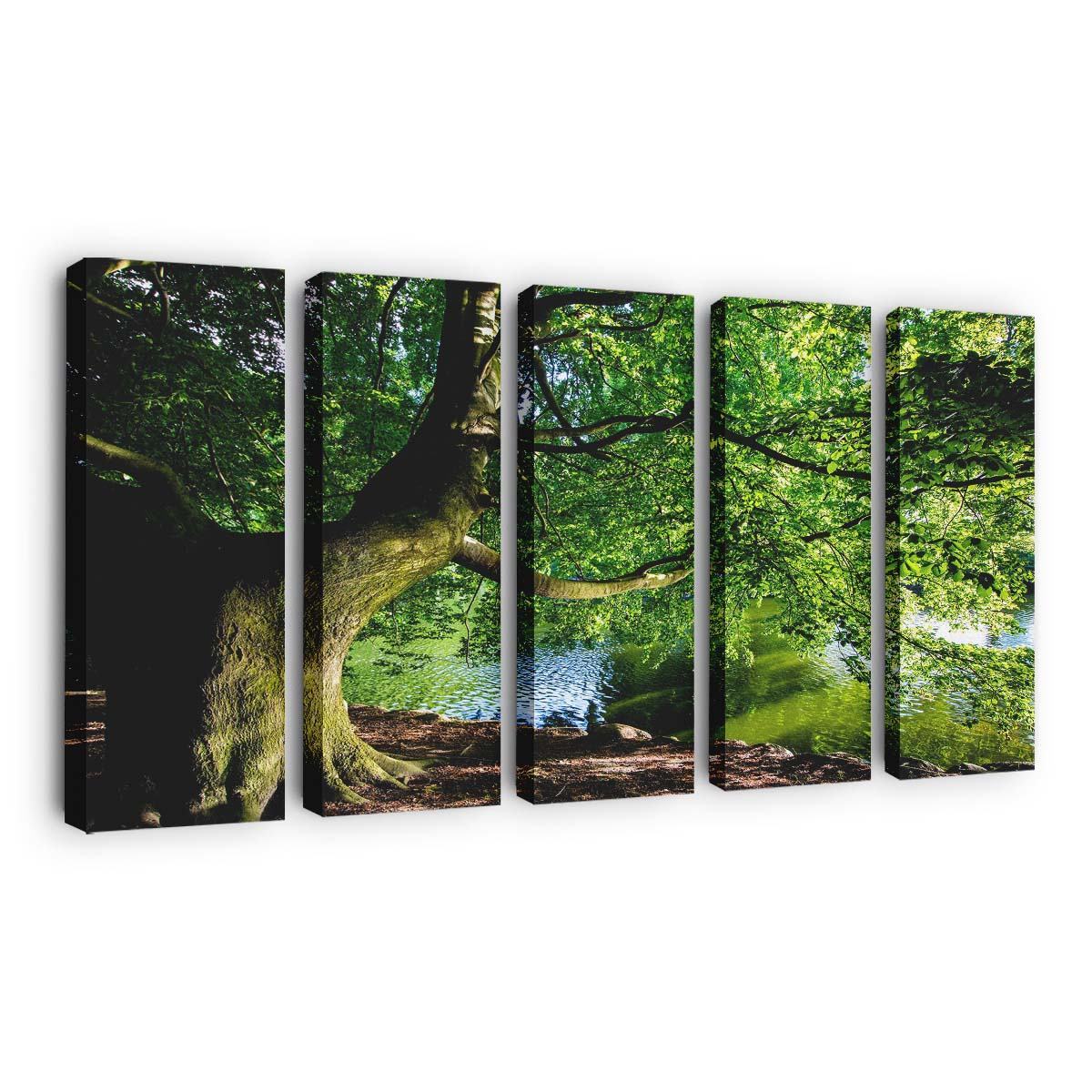 beautiful tree by the river nature photography wallpaper