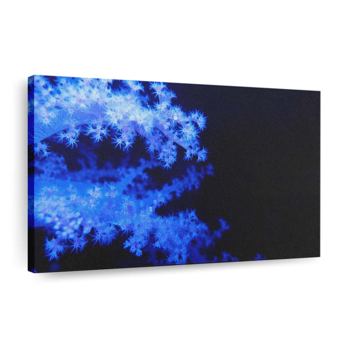 blue phosphorescent corals wallpaper