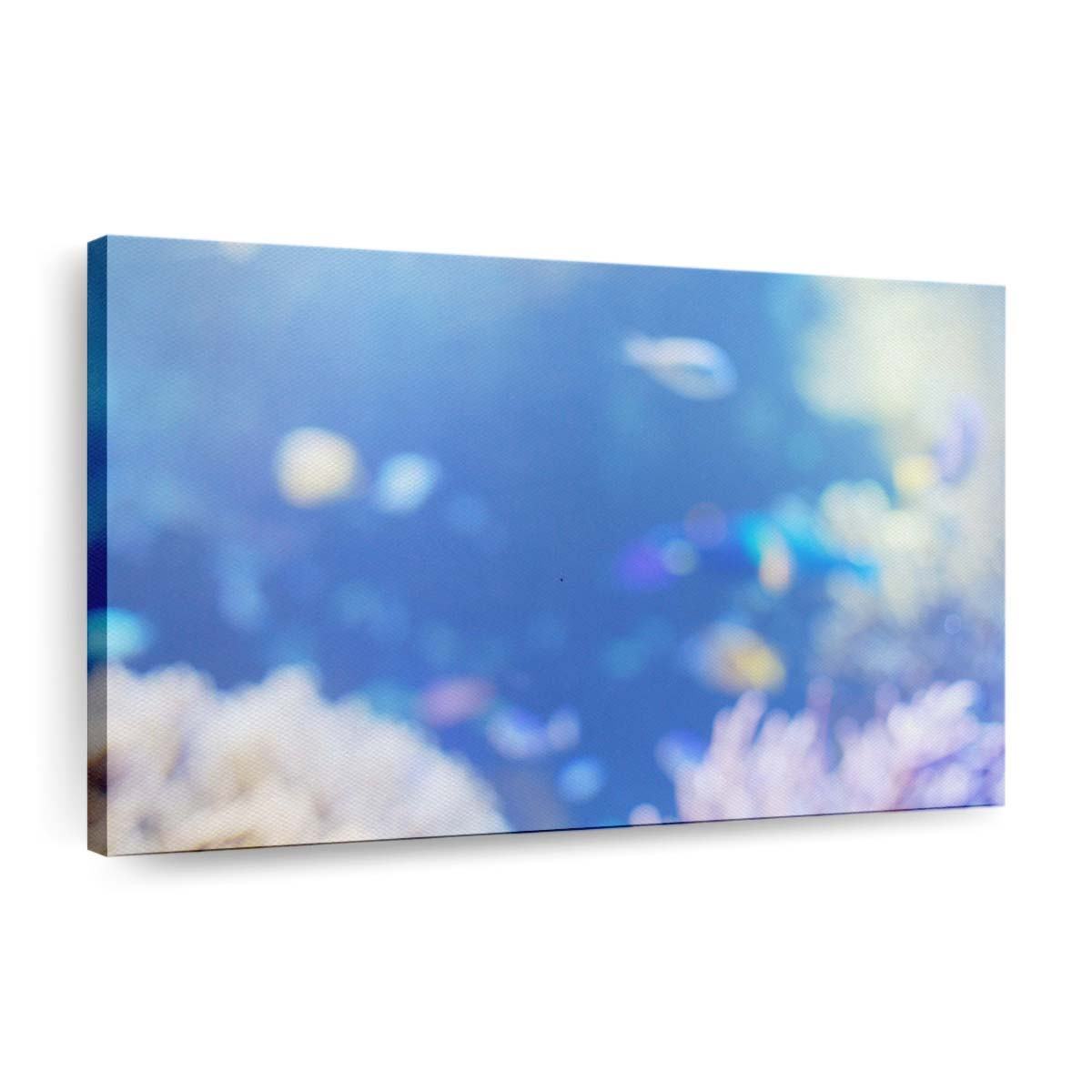 fish aquarium wallpaper
