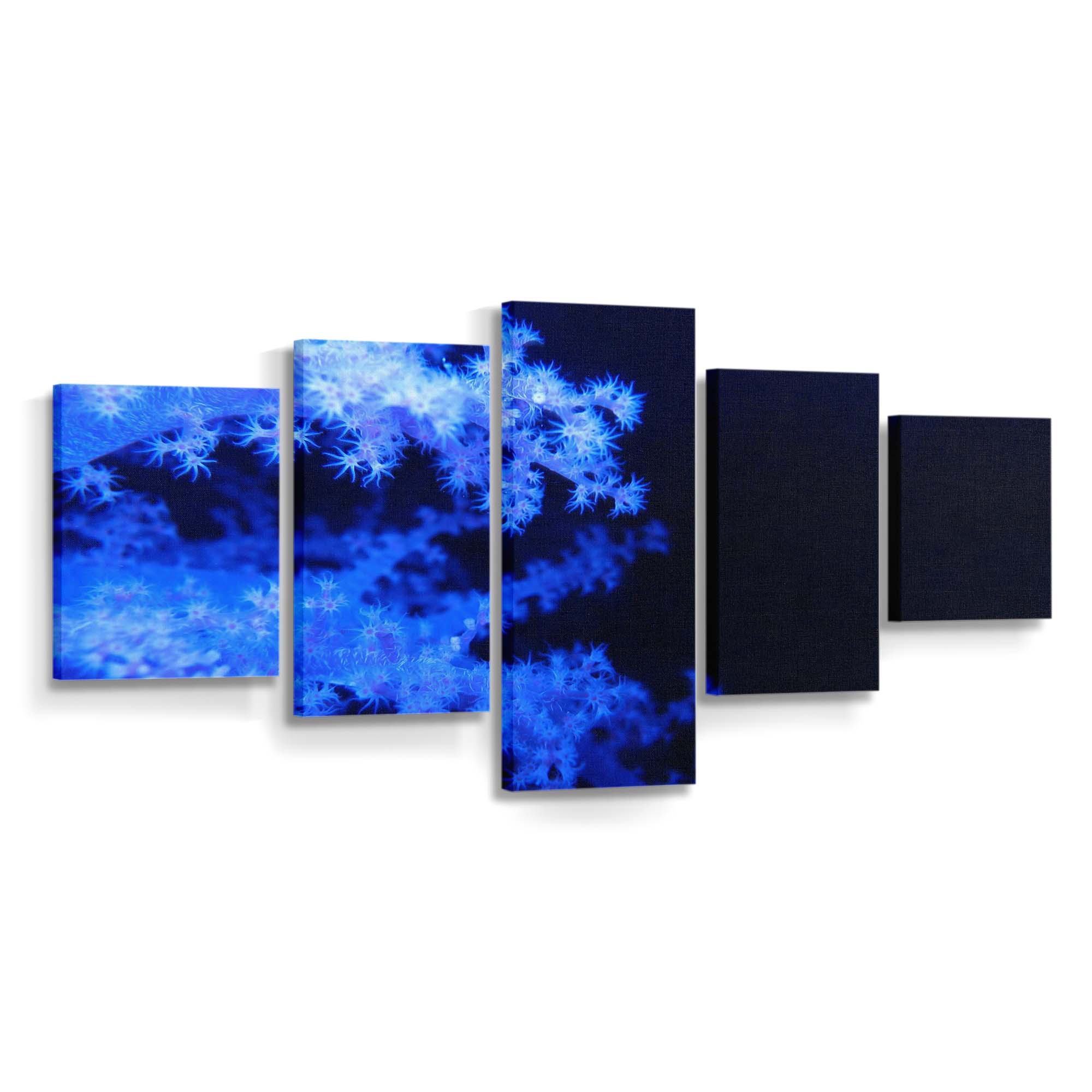 blue phosphorescent corals wallpaper