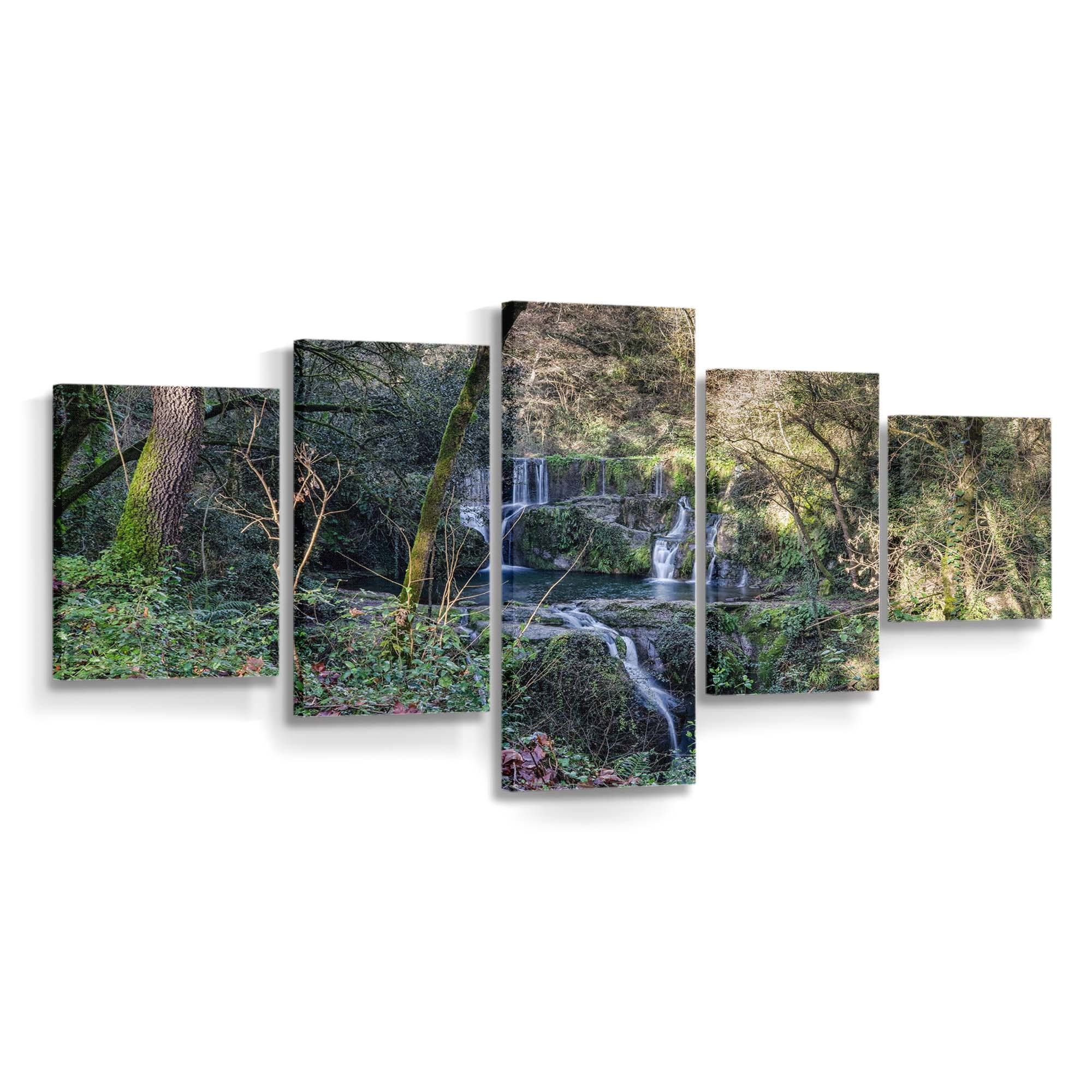 between trees salt de can batlle santa pau catalonia wallpaper