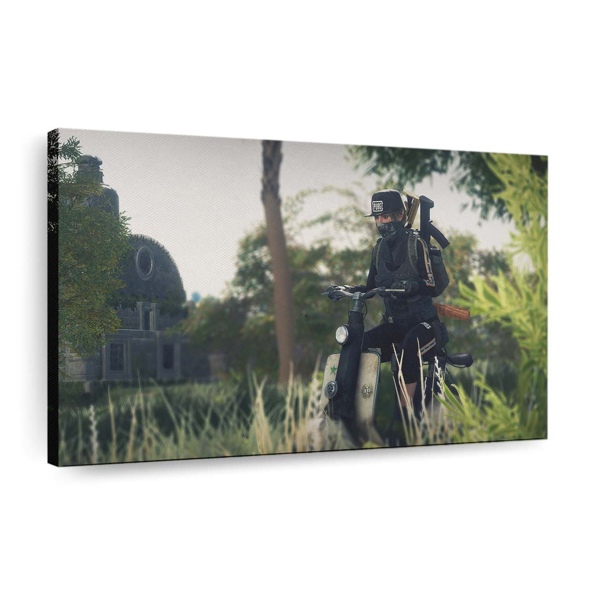 pubg girl on scooter 3v