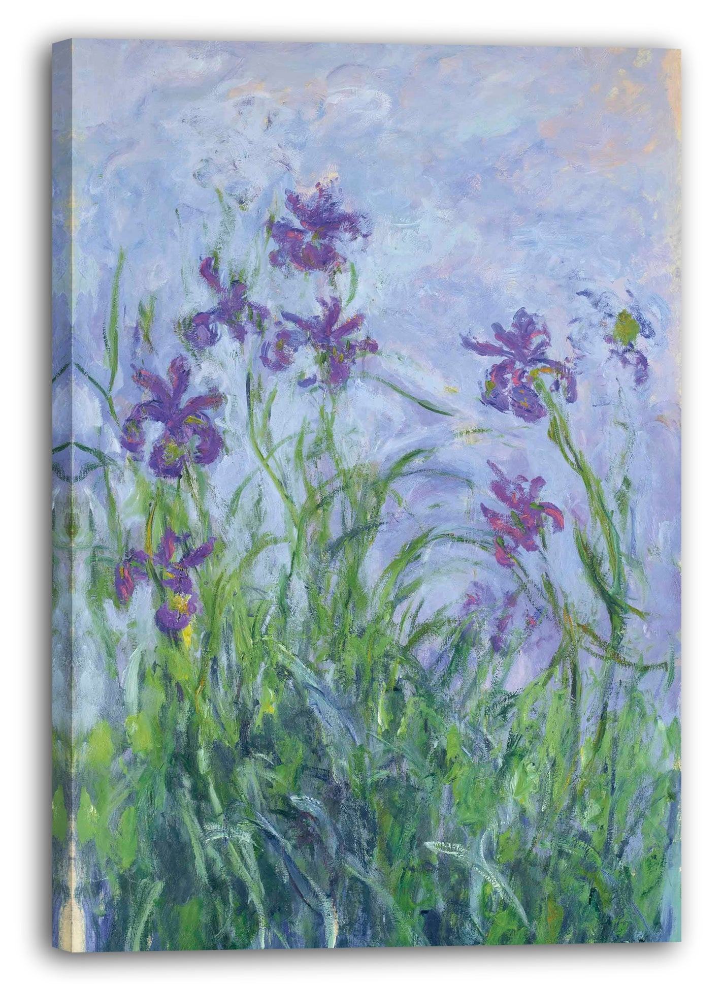 leinwandbild claude monet lila iris