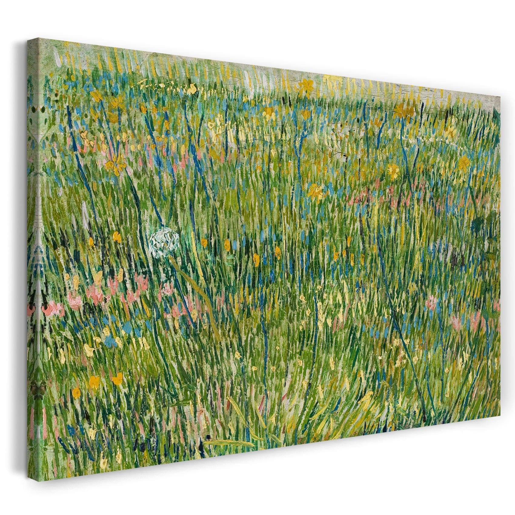 leinwandbild vincent van gogh gras stelle