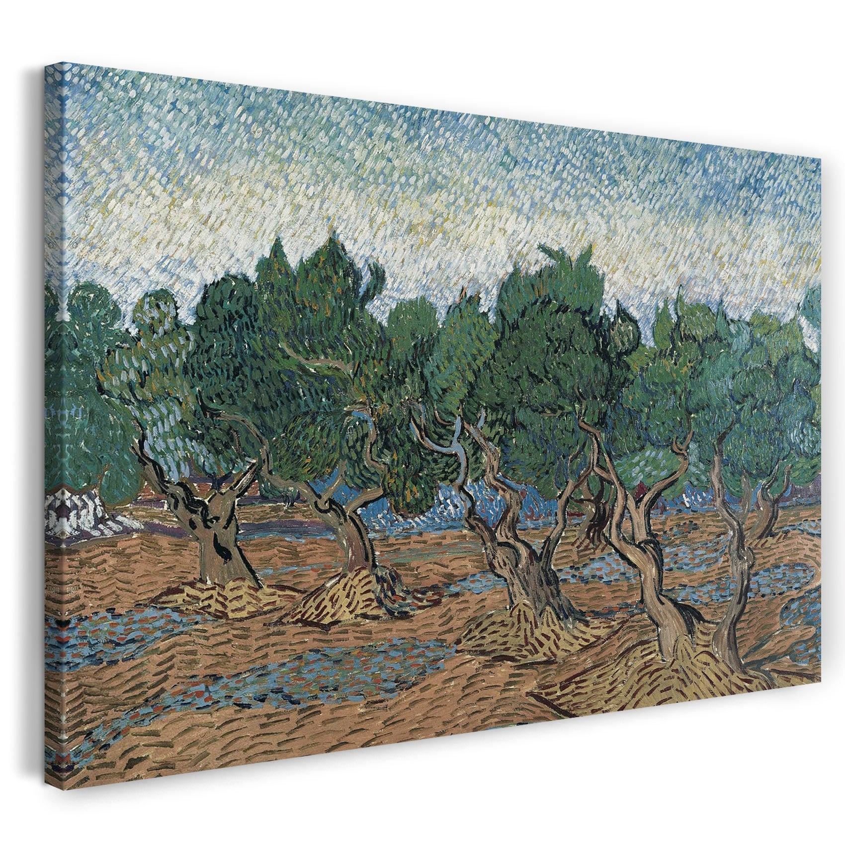 leinwandbild vincent van gogh oliven hain