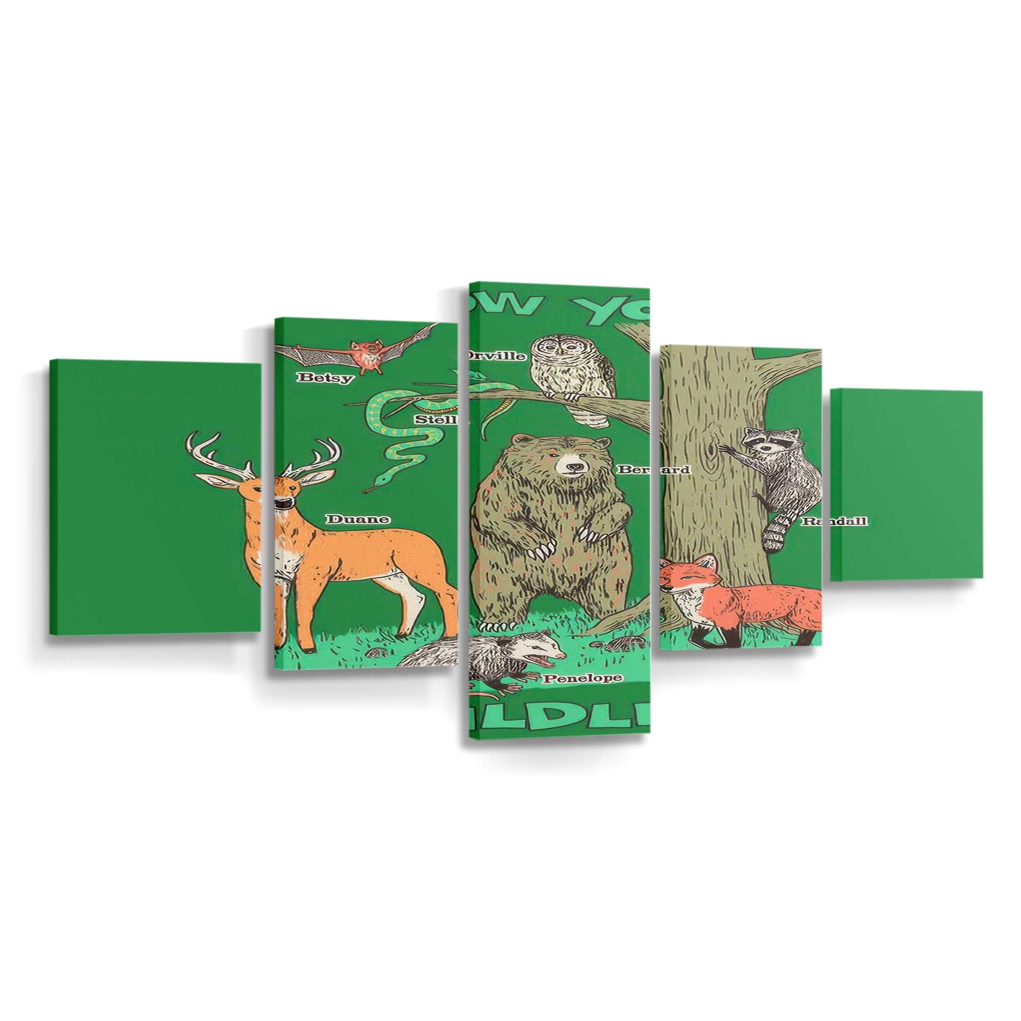 know your wildlife standard v2