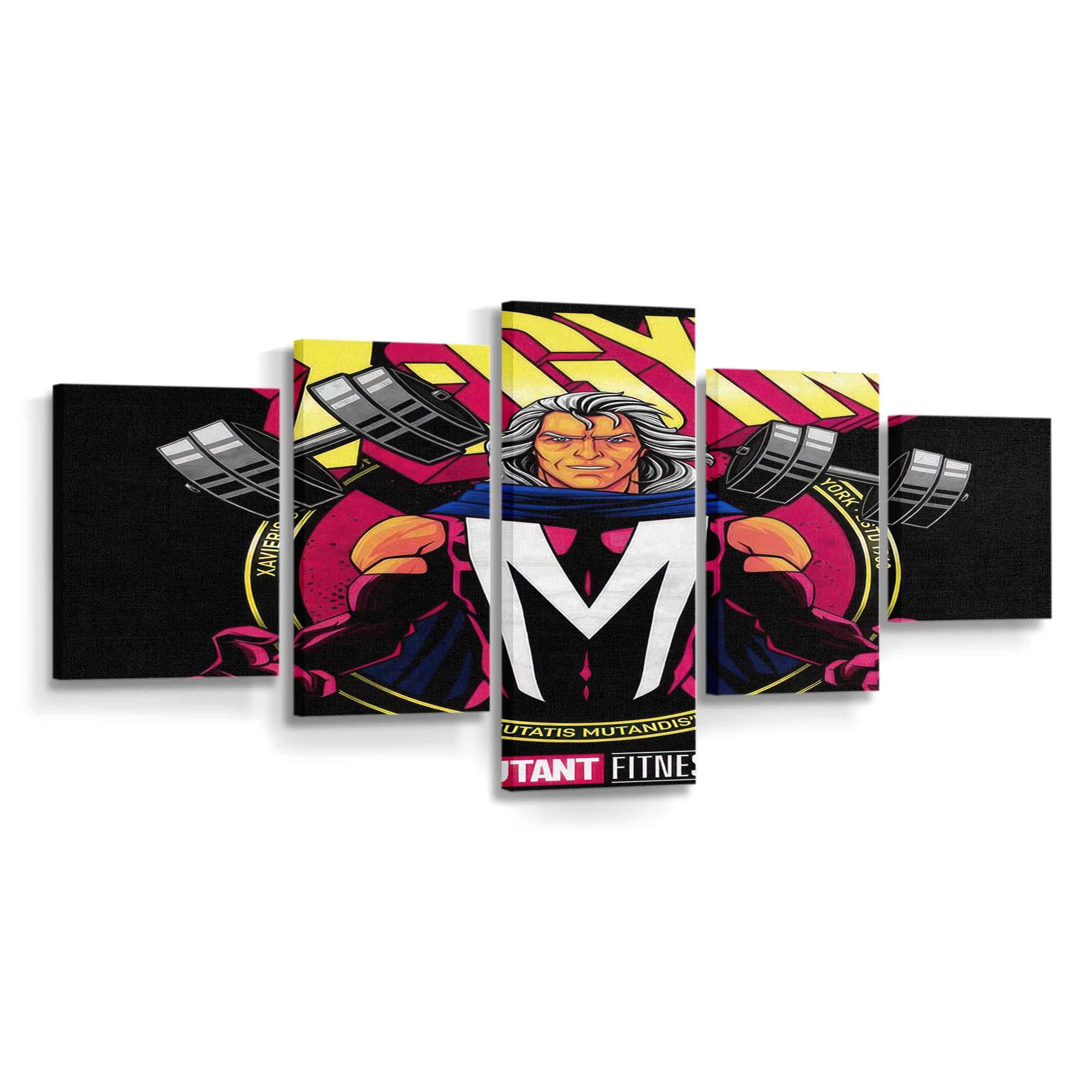 magnetic x gym standard v2