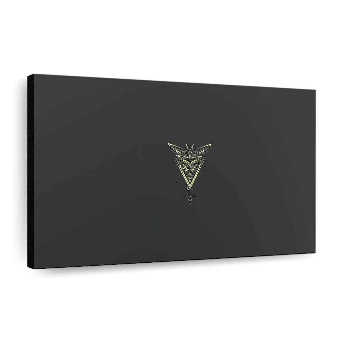 1920x1080 pxbirdslegendary birdspokemonpokemon goteam instinct