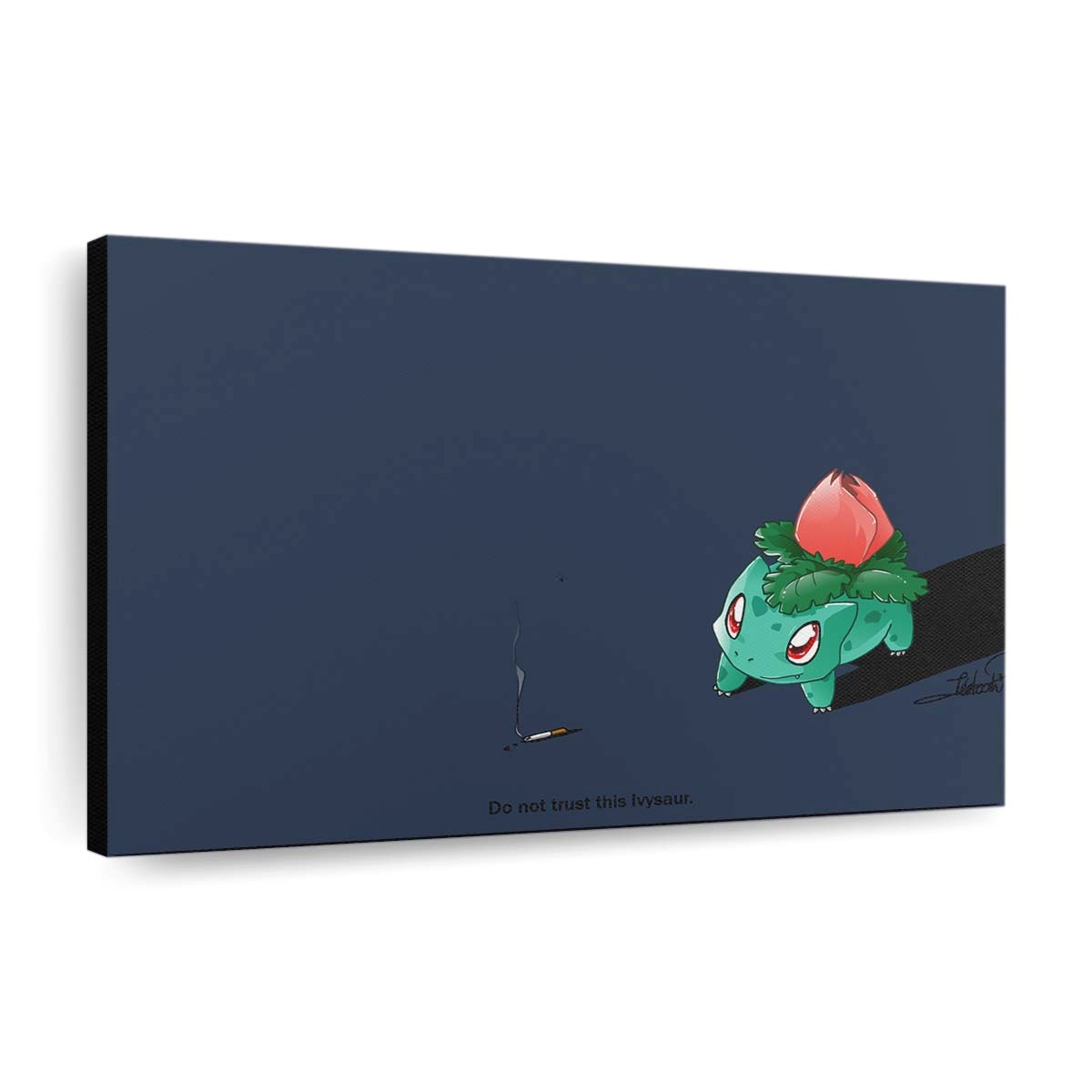 pokemon2338x1628