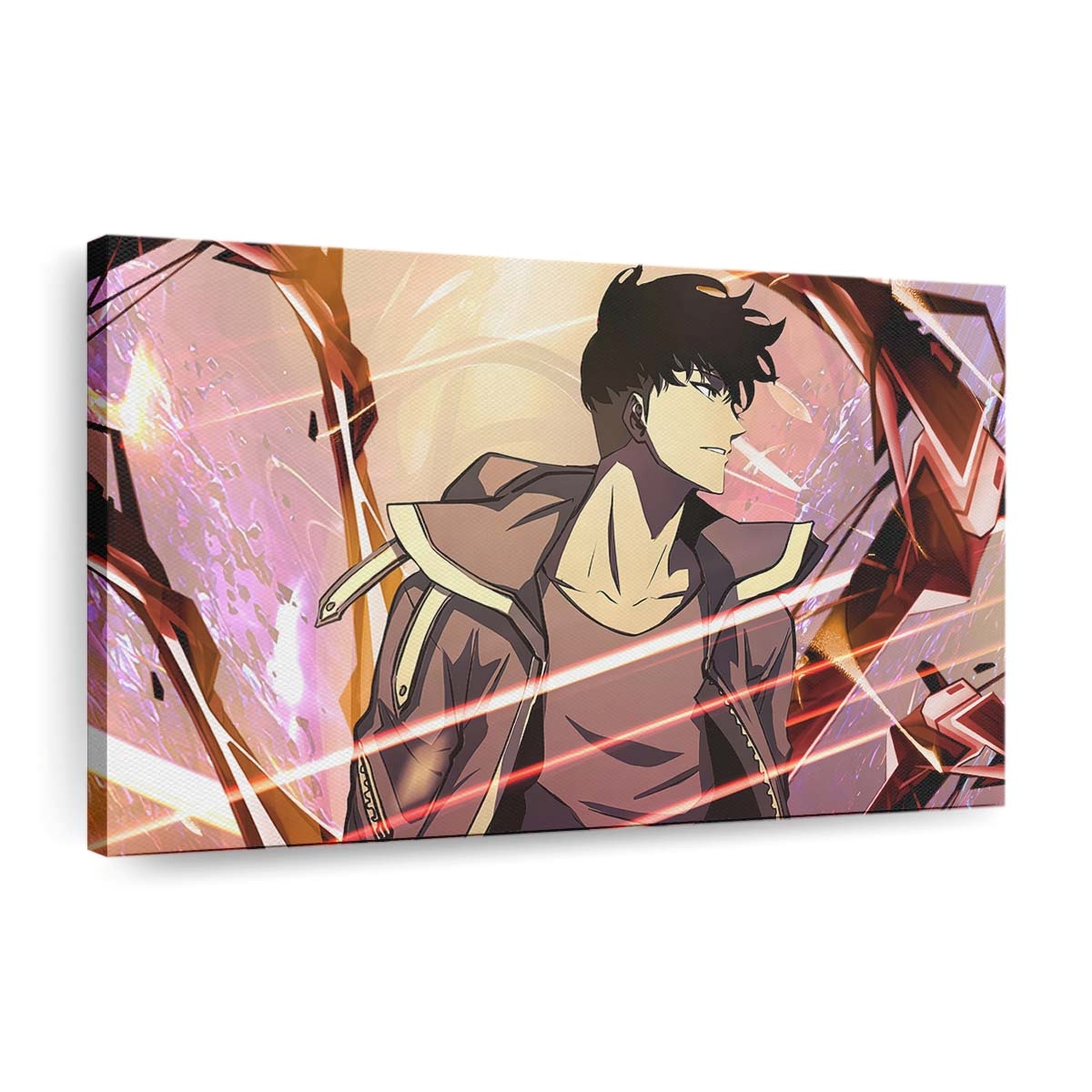 solo leveling sung jin woo 216@5@d