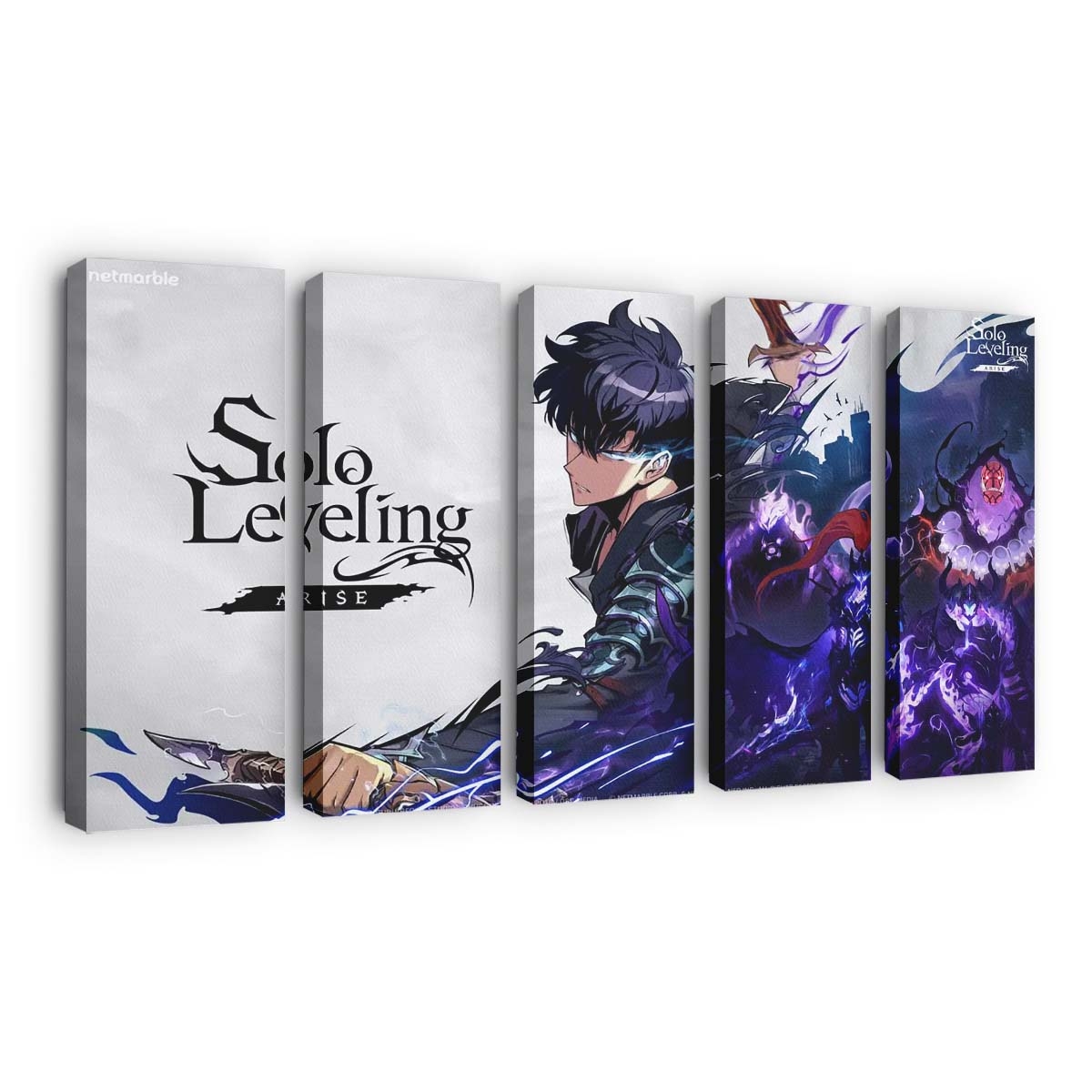 Solo Leveling Arise Codes February 225 - Anime Leinwandbild - Wanddeko solo leveling arise codes february 2025