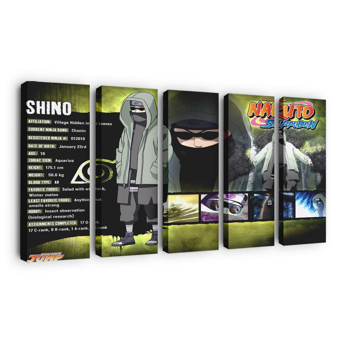 Anime Naruto Glasses Insect Hood Aburame Shino - Anime Wandbild - Leinwandbild animenarutoglassesinsecthoodaburame shino